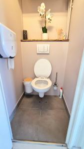 a bathroom with a toilet in a room at Grande chambre de 16m2 in La Croix Rousse