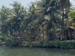 a view of a house from the water with palm trees at Sharvati Backwater Homestay in Haldipur