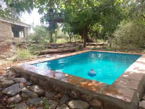 a swimming pool with a fountain in a yard at Finca Las Higueras in Cafayate