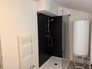 a shower in a bathroom with a glass wall at LE DALLAS - 1 chambre, 1 canapé-lit, 1er étage, parking, 10min Canal du Midi in Castelsarrasin +12 photos