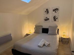 a bedroom with a white bed with two pillows on it at LE DALLAS - 1 chambre, 1 canapé-lit, 1er étage, parking, 10min Canal du Midi in Castelsarrasin