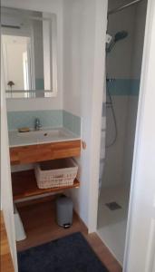 a bathroom with a sink and a mirror at COSY T3 LACANAU in Lacanau