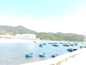 a group of boats sitting in the water at Hom Ba cây dừa in Vĩnh Hy +12 photos