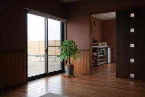 a room with a potted plant in the middle of a room at Secret Beach House MOKU in Fukutsu +25 photos