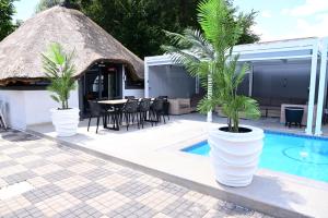 two palm trees in large white pots next to a swimming pool at His Grace Eagles Guesthouse in Bloemfontein