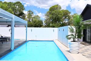 a swimming pool with a palm tree next to a white wall at His Grace Eagles Guesthouse in Bloemfontein