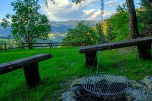 a bench with a basket on it in a field at Annenhütte in Reichenfels