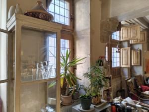 a room with a glass cabinet with plants on it at Maison Romane 1136 in Cluny +44 photos