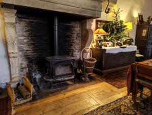 a living room with a fireplace and a christmas tree at Maison Romane 1136 in Cluny