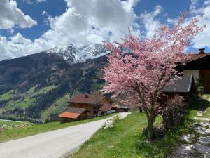 a tree with pink flowers on the side of a road at Haus RuHe in Döllach +25 photos