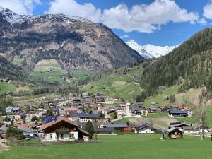 a town in a valley with mountains in the background at Haus RuHe in Döllach