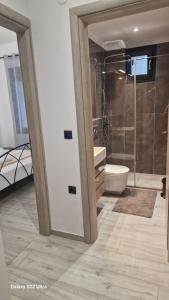 a bathroom with a shower and a toilet and a sink at Villa Sofia in Kalives Poligirou +20 photos