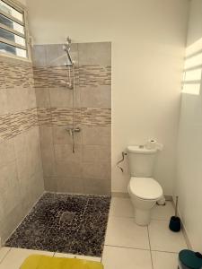 a bathroom with a shower and a toilet at Charmant T2 sur le robert in Le Robert +2 photos