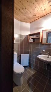 a bathroom with a toilet and a sink at Gästehaus FaRitz in Knittelfeld +3 photos