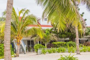 una casa con palmeras delante en Casa Brisa Guest House, en San Pedro