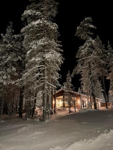 a cabin in the snow at night with snow covered trees at Riekko Lodge in Äkäslompolo