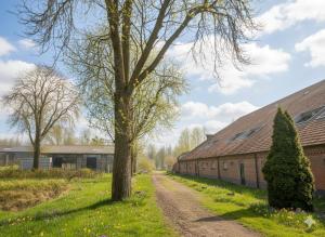 a dirt road next to a building and a tree at Boutique Hotel Westerlee in Westerlee