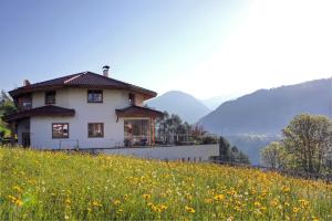 a house on a hill with a field of flowers at Haus Nikola in Telfes im Stubai
