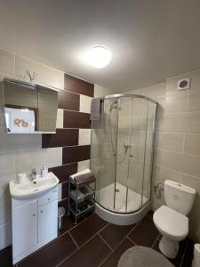 a bathroom with a shower and a toilet and a sink at Apartmany Star in Liptovský Mikuláš +45 photos
