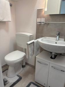 a bathroom with a white toilet and a sink at Eichhörnchenblick in Hahnenklee-Bockswiese +13 photos
