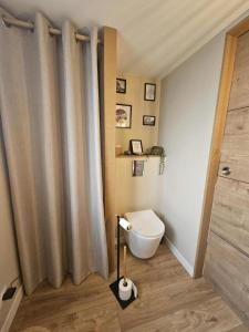 a bathroom with a toilet and a shower curtain at L'arbre de soie - l'acacia in Vouillé +9 photos