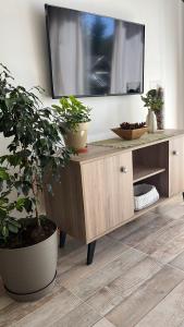 a television on top of a wooden cabinet with potted plants at CasaSur-37Robles-2 in Villa La Angostura