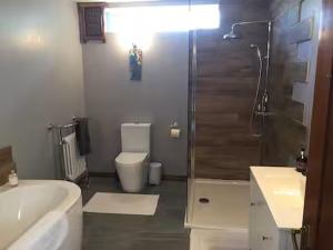 a bathroom with a shower and a toilet and a sink at Artie's Lodge in Windermere +4 photos