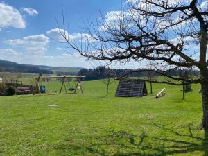 ein Park mit einem Spielplatz mit einer Rutsche im Rasen in der Unterkunft Hanauerhof in Schönsee + 17 Fotos