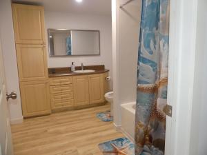 a bathroom with a sink and a toilet and a mirror at Small comfortable apartment in Saint-Nazaire