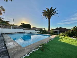 a swimming pool in a yard with a palm tree at Esperanza in Tacoronte +32 photos