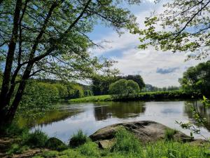 a view of a river with a rock and trees at Ferienwohnung Schindler in Nittenau