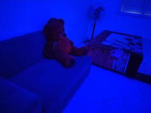 a teddy bear sitting on a couch in a blue room at chambre pour 2 sidi maarouf in Casablanca