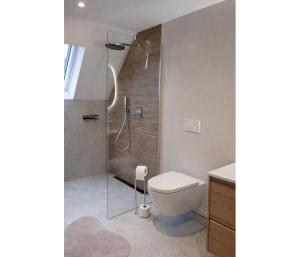 a bathroom with a shower with a toilet and a sink at Top bewertete 2-Zimmer-Wohnung mit sehr gut ausgestatteter Küche, Netflix und gemütlichem Schlafzimmer in Hildesheim in Hildesheim