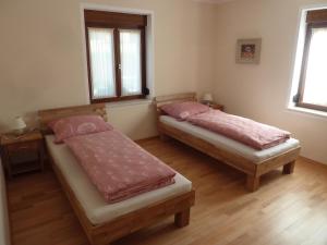 two twin beds in a room with two windows at Ferienwohnung Schindler in Nittenau
