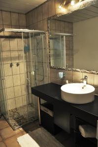 a bathroom with a sink and a glass shower at Outeniqua Guest & Hunting Farm in Okahandja