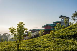 a house on top of a green hill at Udadola Ecolodge in Deniyaya +13 photos