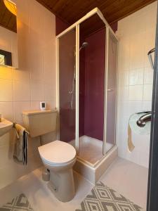 a bathroom with a toilet and a shower at Haus RuHe in Döllach