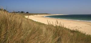 a beach with tall grass next to the ocean at Studio Dour avec terrasse à proximité des plages in Étel
