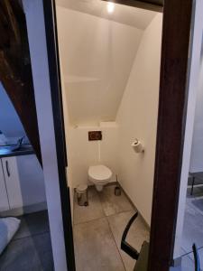 a small bathroom with a toilet in the attic at La Maison de Maurice in Beaune +38 photos
