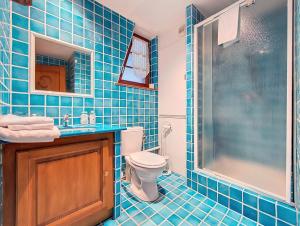 a blue tiled bathroom with a toilet and a shower at Les Perles du Ried - Gîte 6 - proche Europapark Strasbourg Colmar in Boofzheim +10 photos