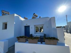 a white house with three pots of plants on it at sun studios in Mikonos