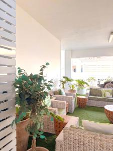 a living room with couches and potted plants at Beachouse@Stilbaai in Stilbaai