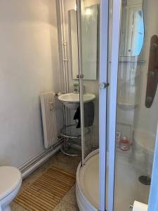 a bathroom with a shower and a toilet and a sink at Lemoine in Châteauroux