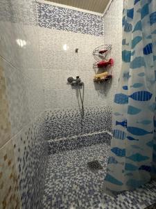 a bathroom with a shower with blue and white tiles at Davos in Ak-Bulun +5 photos
