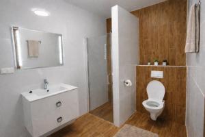 a bathroom with a toilet and a sink and a shower at Hangot Apartments in Repisko
