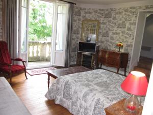a bedroom with a bed and a tv and a window at Demeure de la pompe in La Queue-en-Brie
