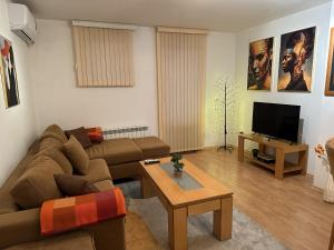 a living room with a couch and a tv at Borealis Apartment in Bansko