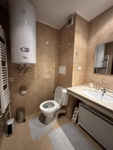 a bathroom with a toilet and a sink at Borealis Apartment in Bansko +22 photos