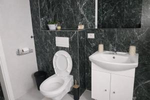 a bathroom with a white toilet and a sink at Hera Exclusive Stay 2 in Timişoara +14 photos