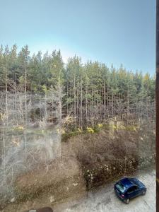 a blue car parked in a field with trees at Panorama Studio Home2Host in Bansko